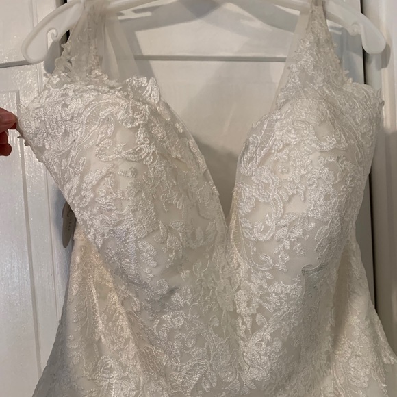 Gorgeous Wedding Dress - Unused - Picture 4 of 16